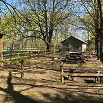 Hestkær Family Summer Camp *